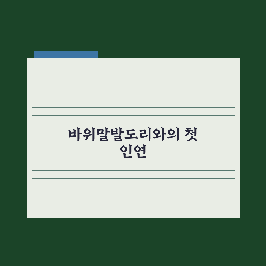 바위말발도리 사용 후기, 직접 써보니 알게 된 점