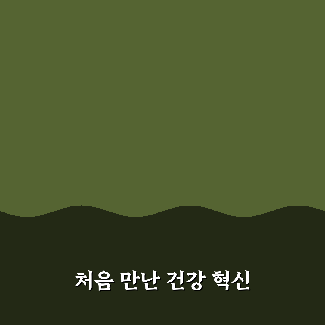 마가보감 침향환 가격 직접 알아보니 생각보다 달랐어요