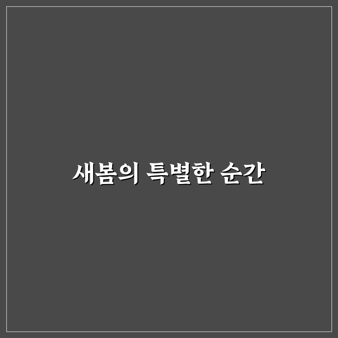 에버랜드 튤립축제 기간 방문 후기, 꽃구경 실제 느낌은?