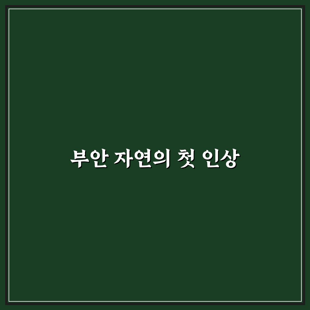 부안 오디 제철 방문 후기, 신선함을 직접 느껴보다