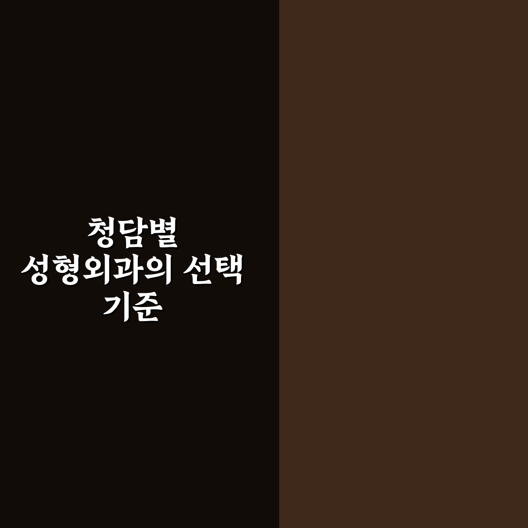 청담별 성형외과 선택을 위한 5가지 기준 분석 및 비교