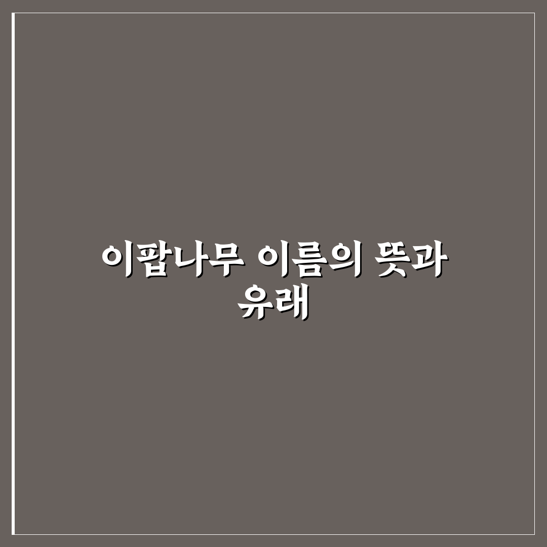 이팝나무 이름 유래 5가지 기준 비교와 분석 가이드