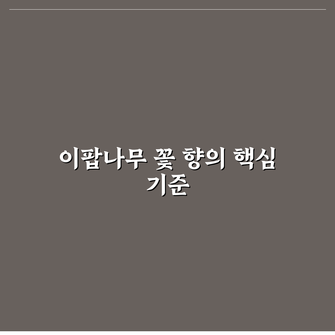 이팝나무 꽃 향 특징과 품질 비교 분석 가이드