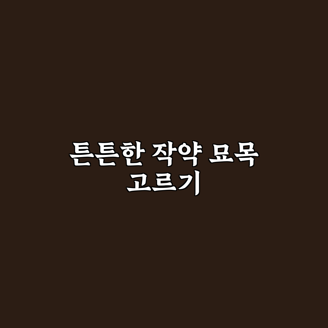 작약 묘목 선택 가이드와 생육 환경 5가지 기준 비교