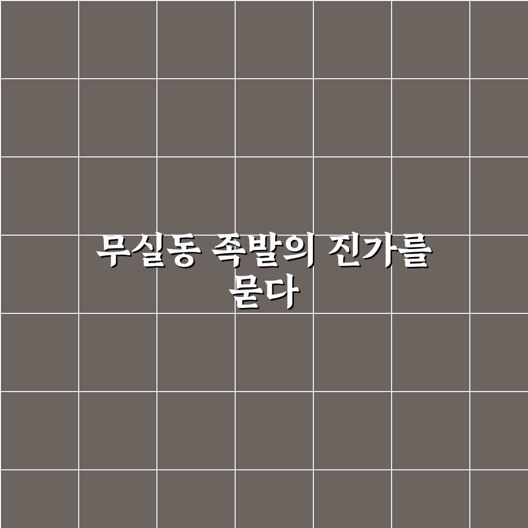 무실동 장인족발 맛과 품질 5가지 기준 비교 분석