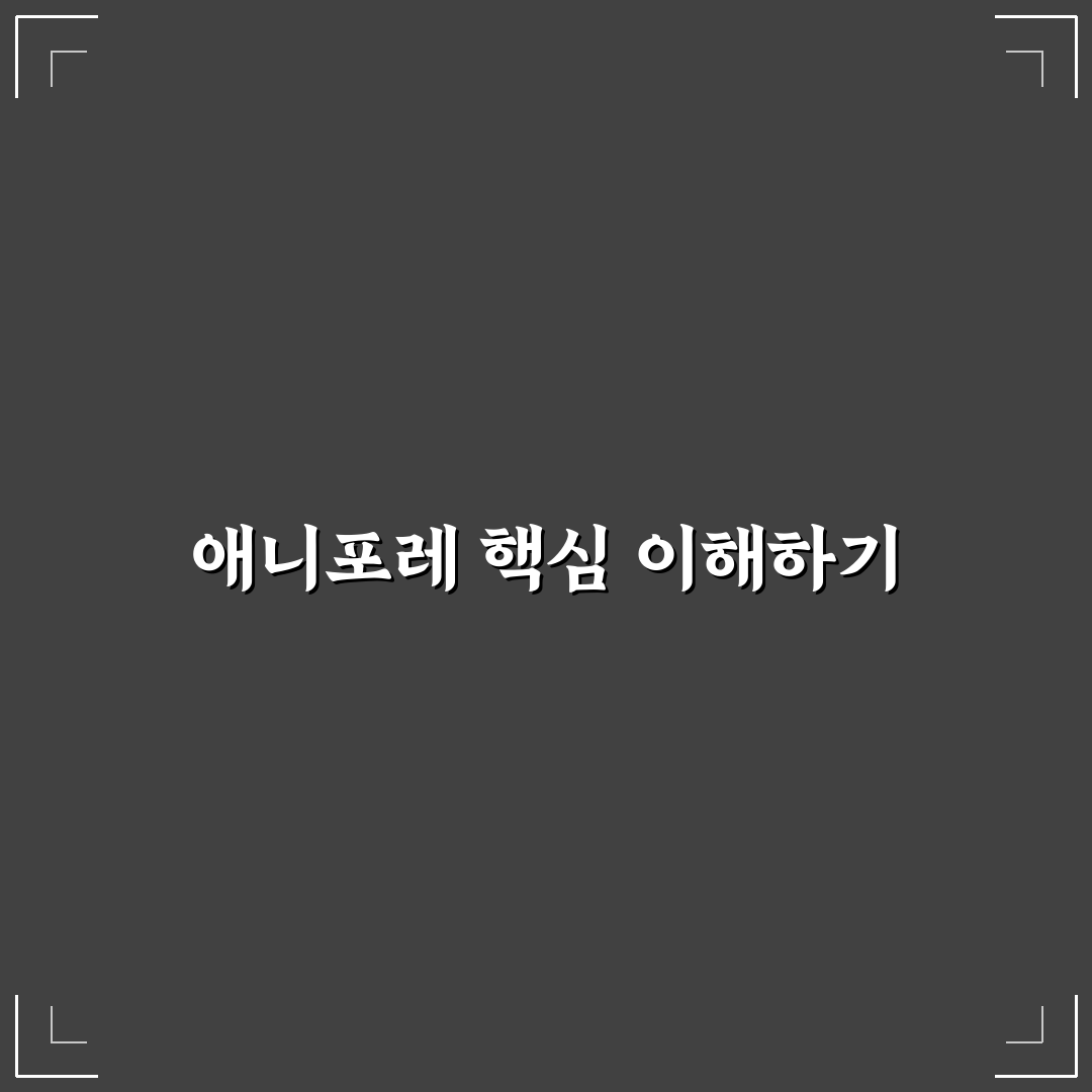 애니포레 비교와 분석으로 보는 선택 가이드 5가지 기준