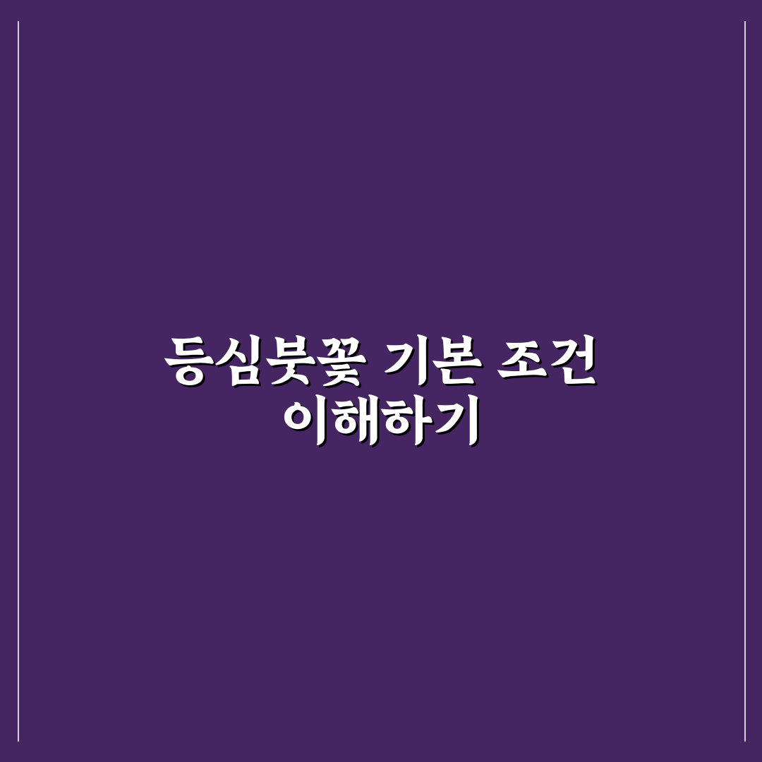 등심붓꽃 키우기 5가지 기준과 관리법 분석 총정리