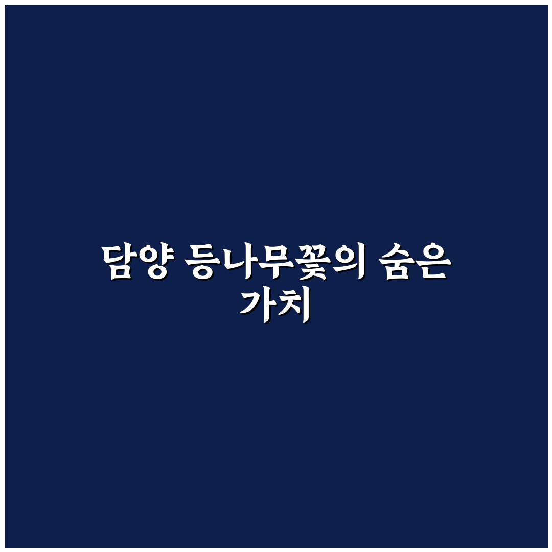 담양 등나무꽃 감상 포인트와 주요 비교 기준 총정리