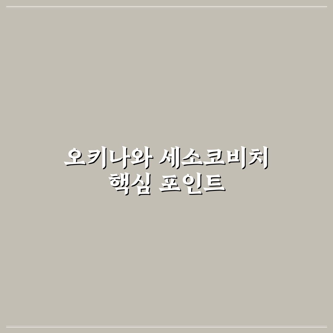오키나와 세소코비치 방문 전 체크포인트 5가지 분석