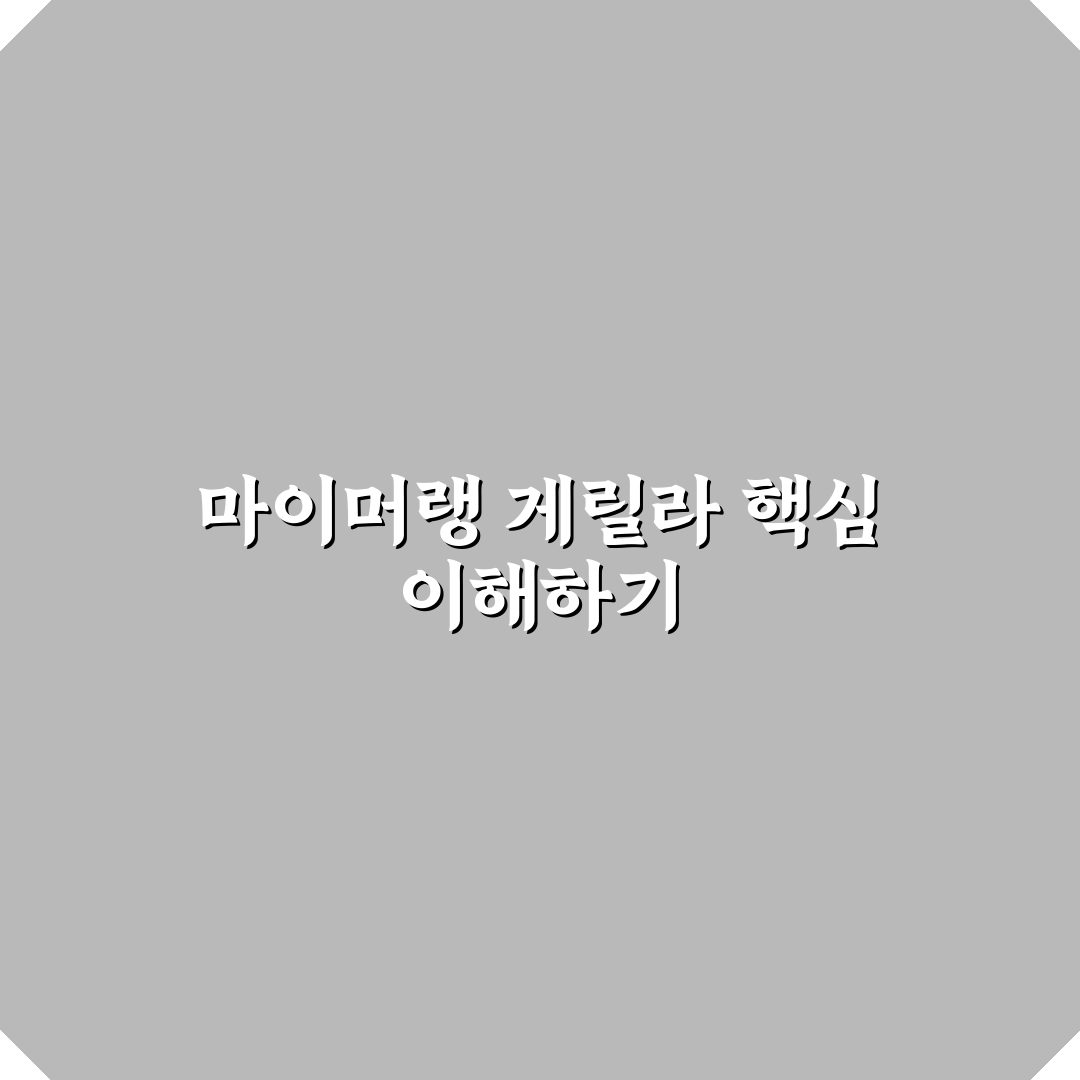 마이머랭 게릴라 시간 비교와 효율적 활용 가이드