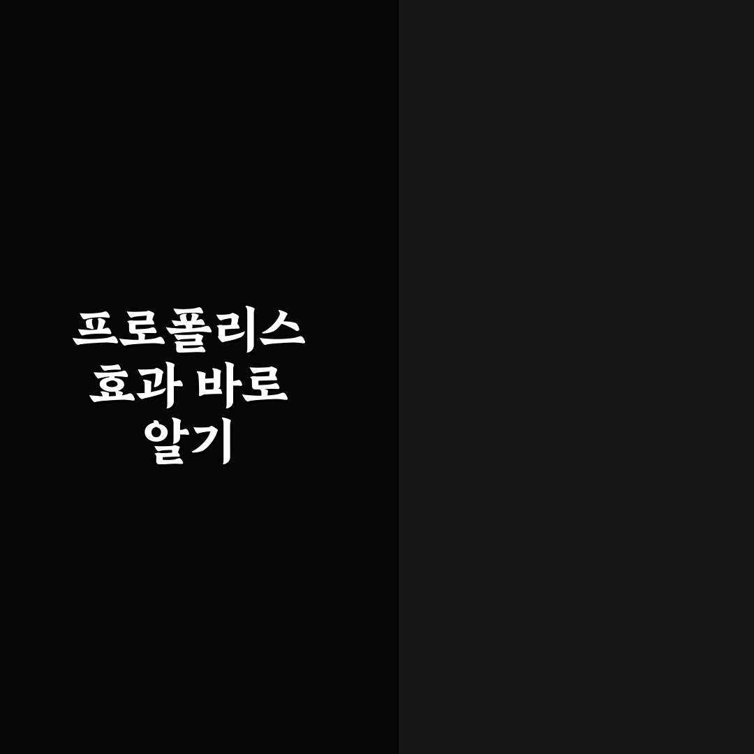 콤비타 프로폴리스 스프레이 효과와 성분 5가지 기준 비교 분석