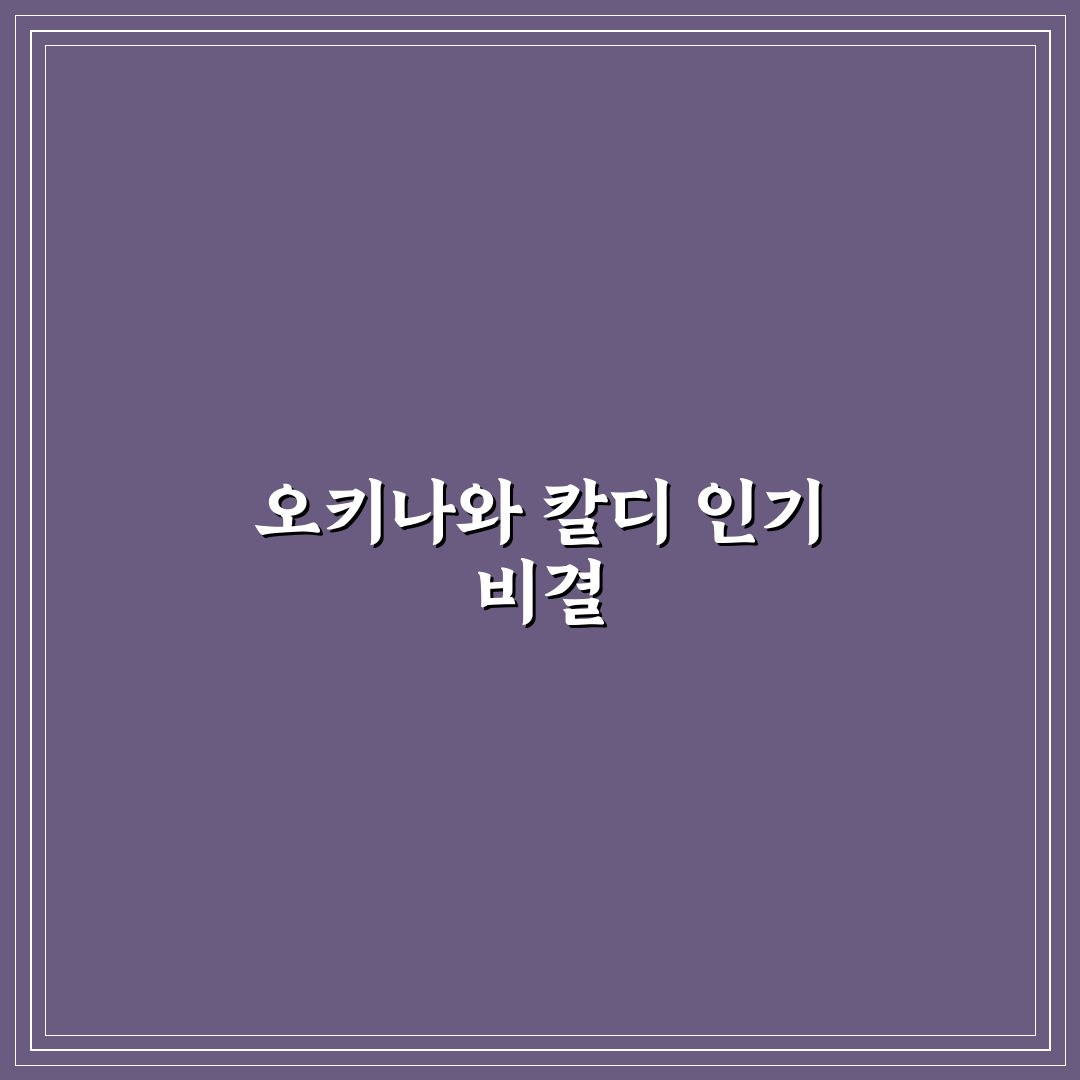 오키나와 칼디 구매 가이드와 주요 특징 비교 분석