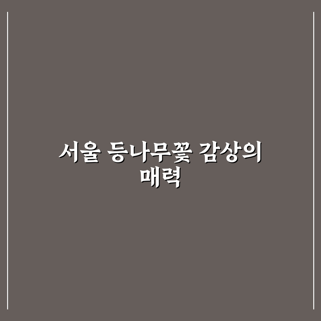 등나무꽃 서울 명소별 비교와 방문 가이드 5가지 기준