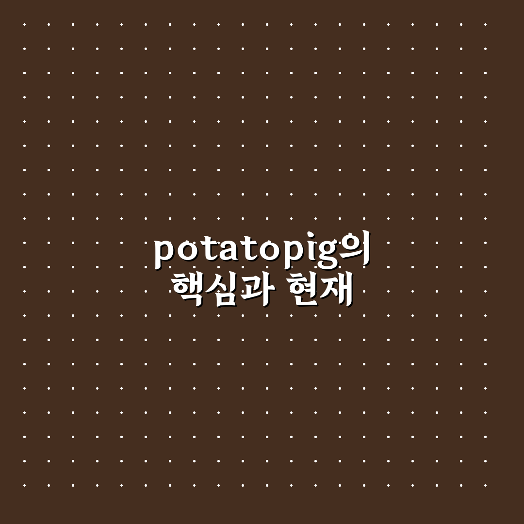 potatopig 사용법과 주요 기능 비교 분석 가이드