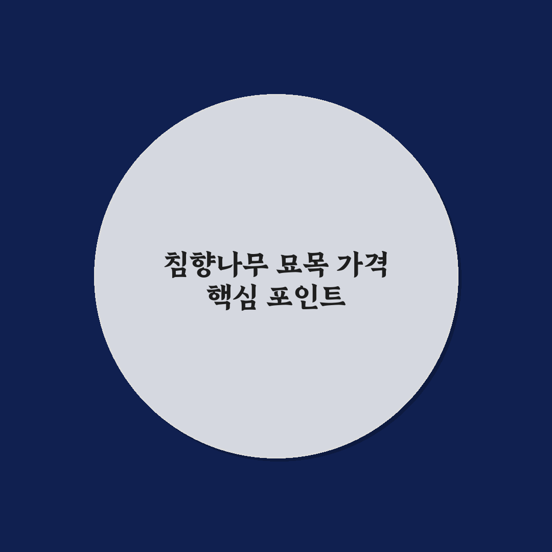 침향나무 묘목 가격 비교와 구매 가이드 총정리