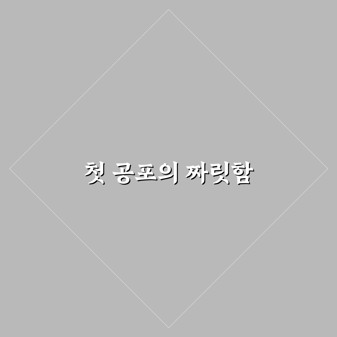 ott 공포영화 추천 직접 이용해보니 몰입감 차이 느껴졌어요