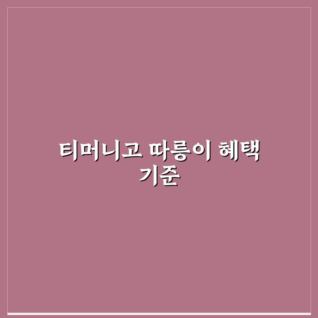 티머니고 따릉이 무료 이용 조건과 혜택 비교 분석