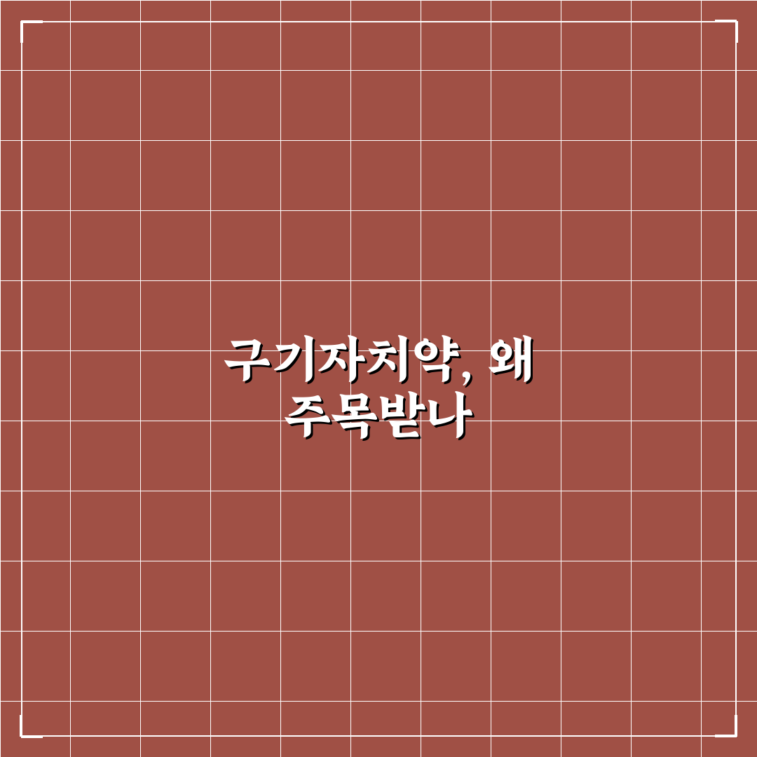 구기자치약 선택을 위한 5가지 비교 기준 총정리