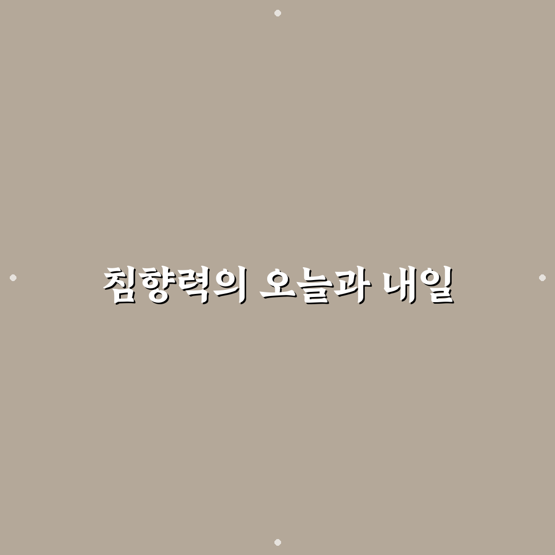 침향력 선택 가이드와 주요 비교 기준 총정리