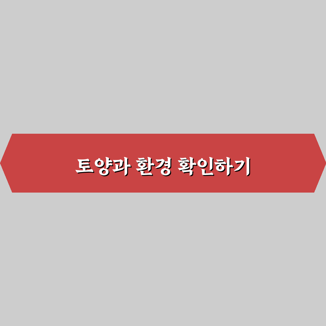 이팝나무 심는 이유 5가지 기준별 분석과 판단 가이드