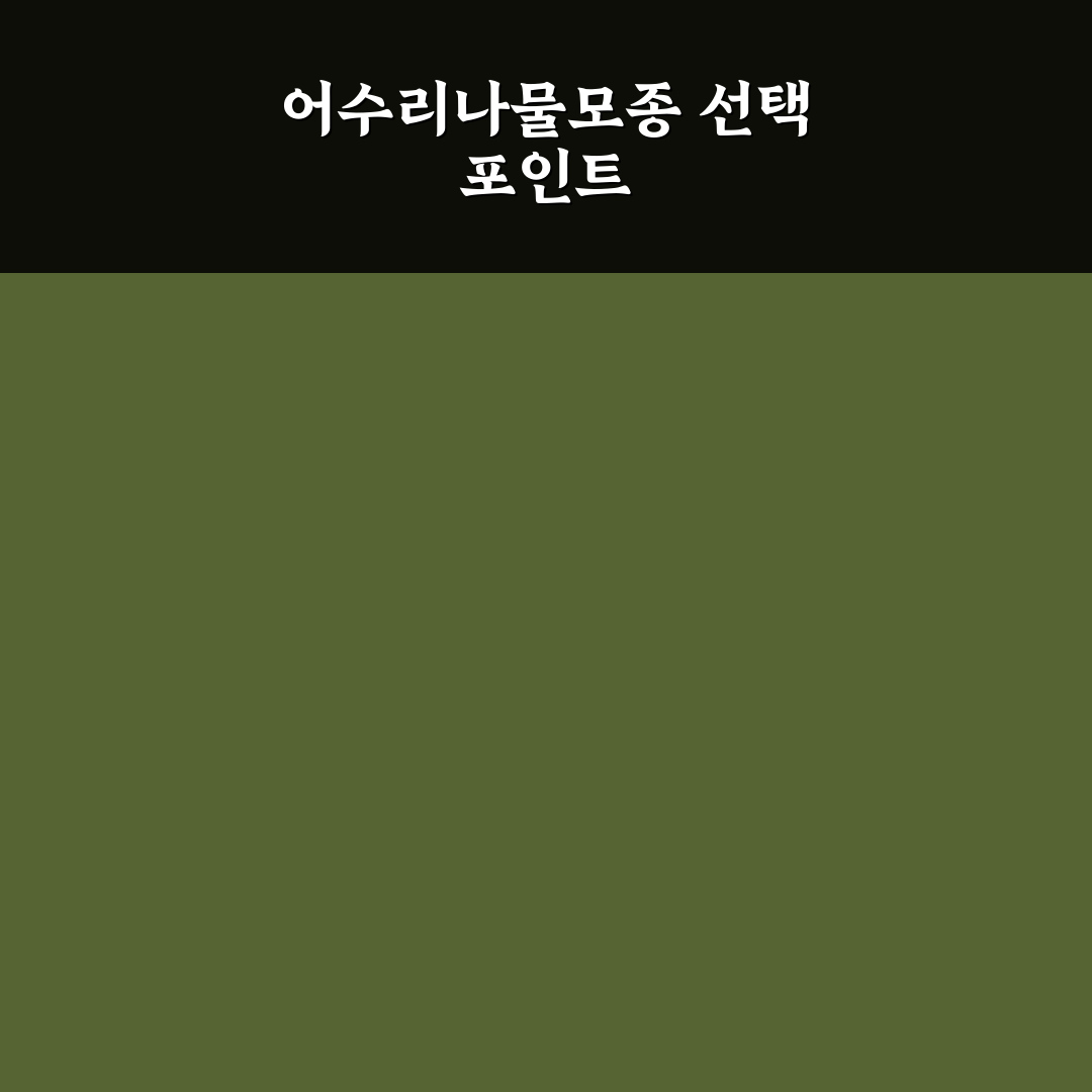 어수리나물모종 선택 가이드와 재배 체크포인트 분석