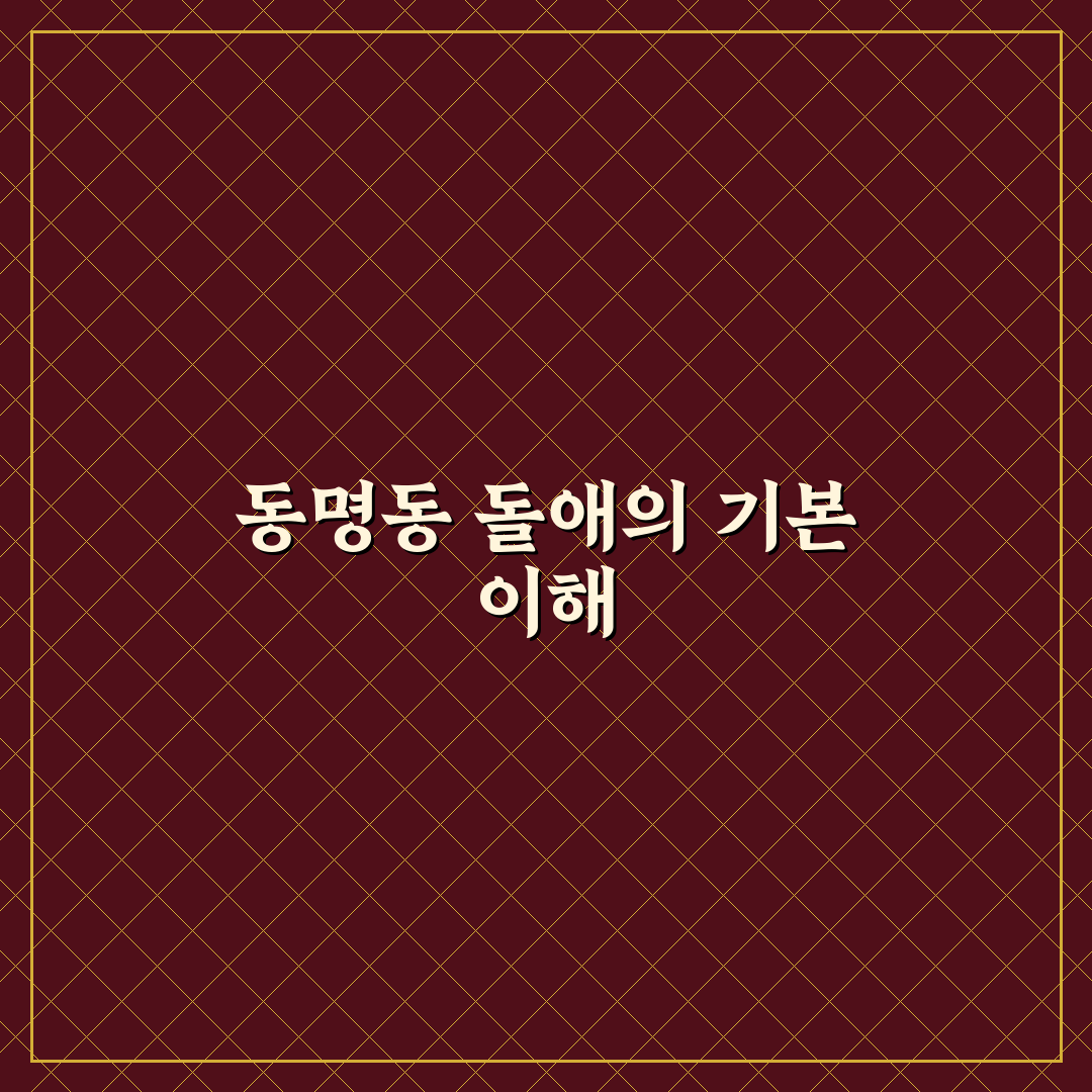 동명동 돌애 이용 가이드와 선택 기준 5가지 분석
