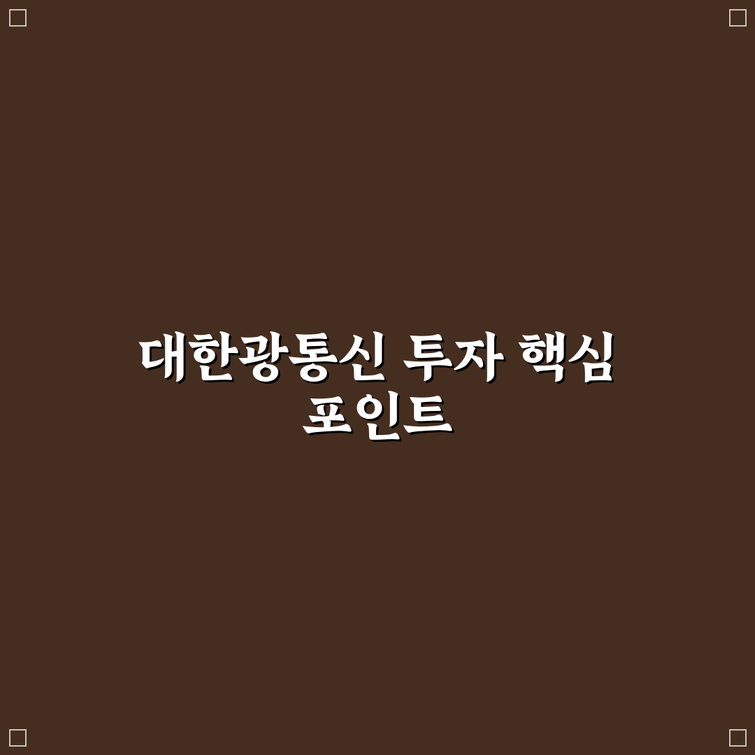 대한광통신 유상증자 5가지 체크포인트 분석과 판단 기준