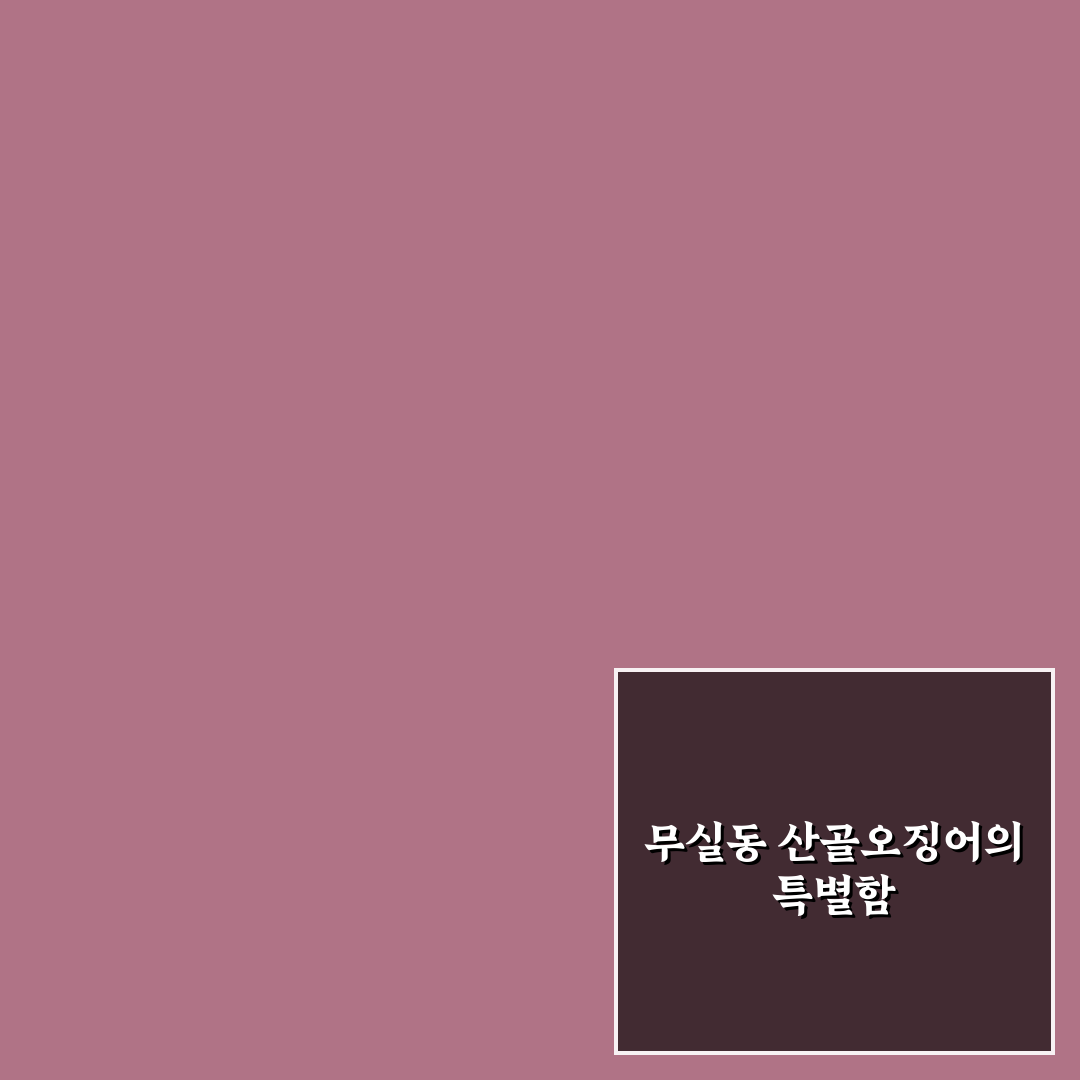 무실동 산골오징어 구매 전 5가지 체크포인트 분석