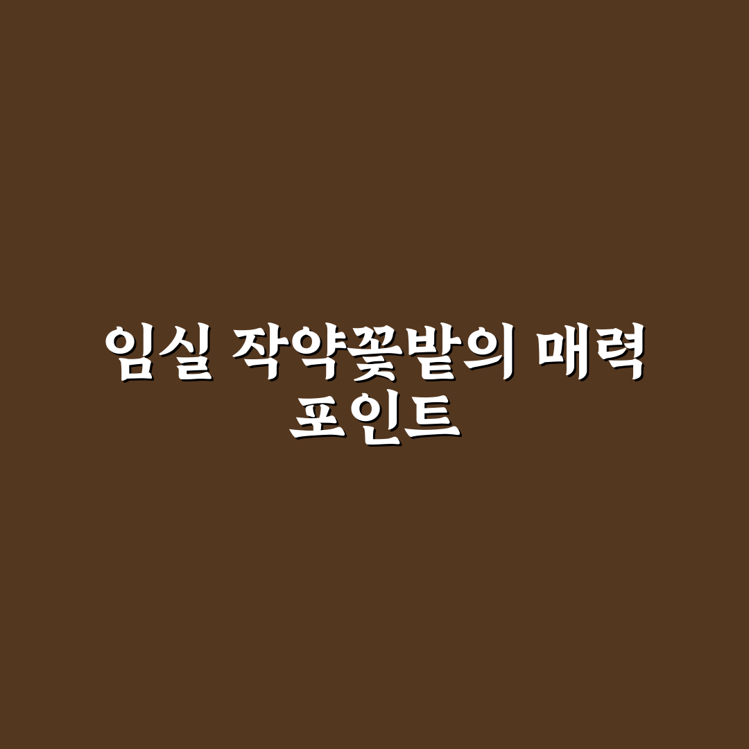 임실 작약꽃밭 방문 전 체크포인트 5가지 분석 가이드