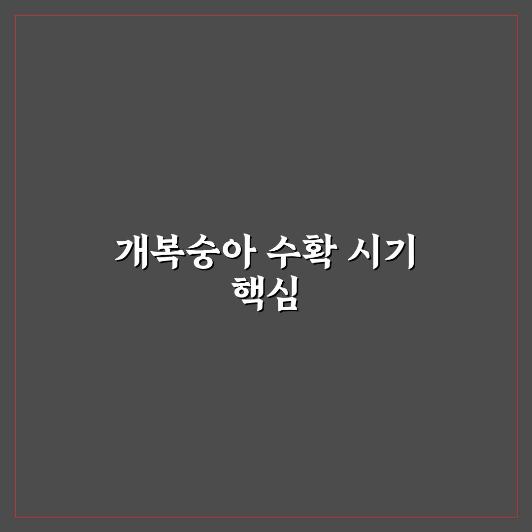 개복숭아따는시기 판단을 위한 5가지 체크포인트 분석