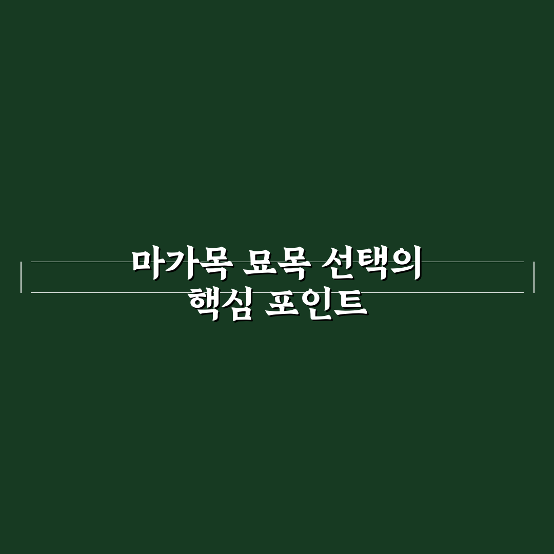 마가목 묘목 선택 기준과 주요 특징 비교 분석