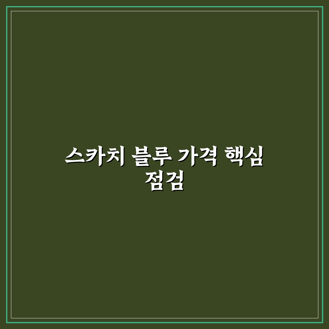 스카치 블루 가격 비교와 구매 가이드 5가지 기준