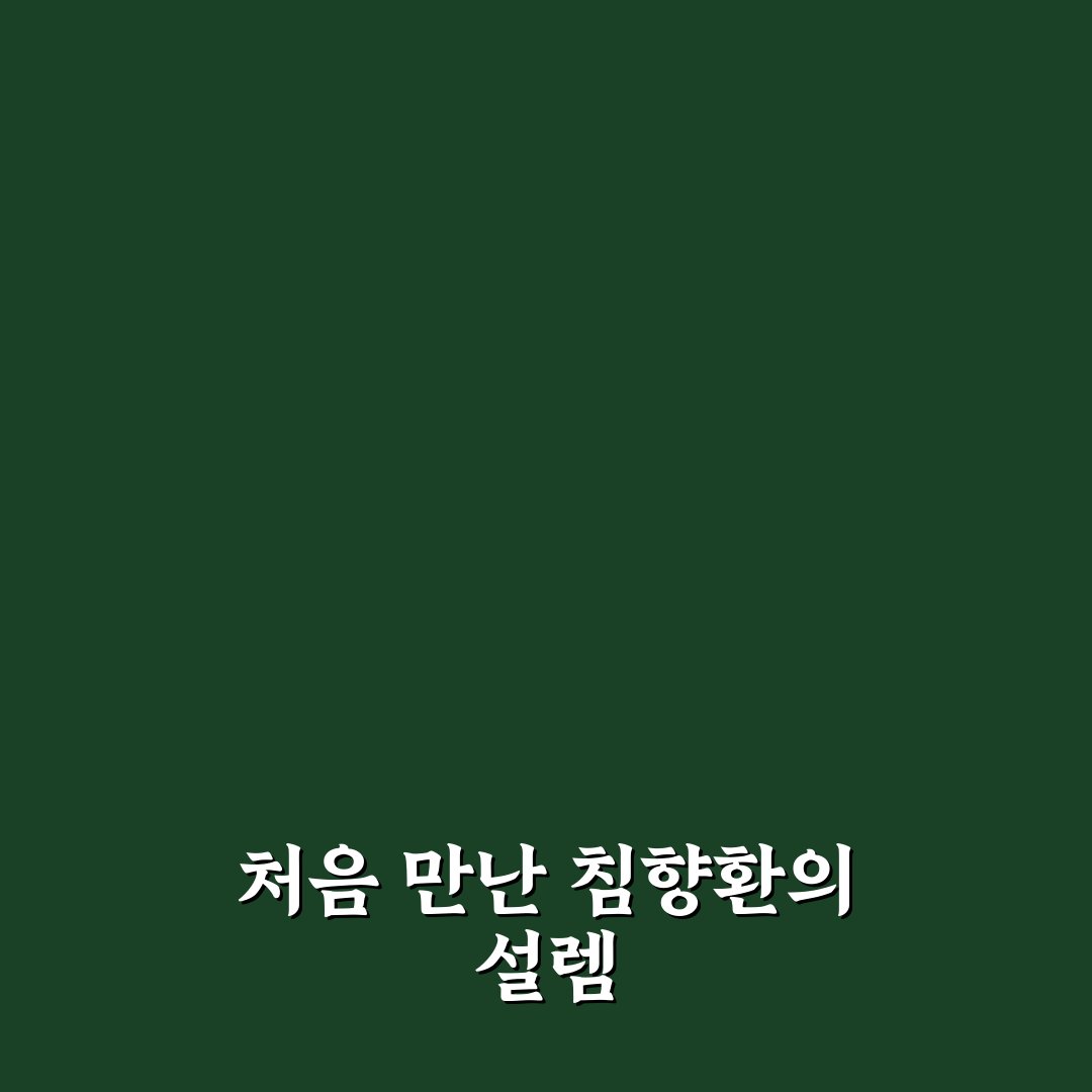 침향환 효능과 먹는법, 직접 써보니 느낀 점