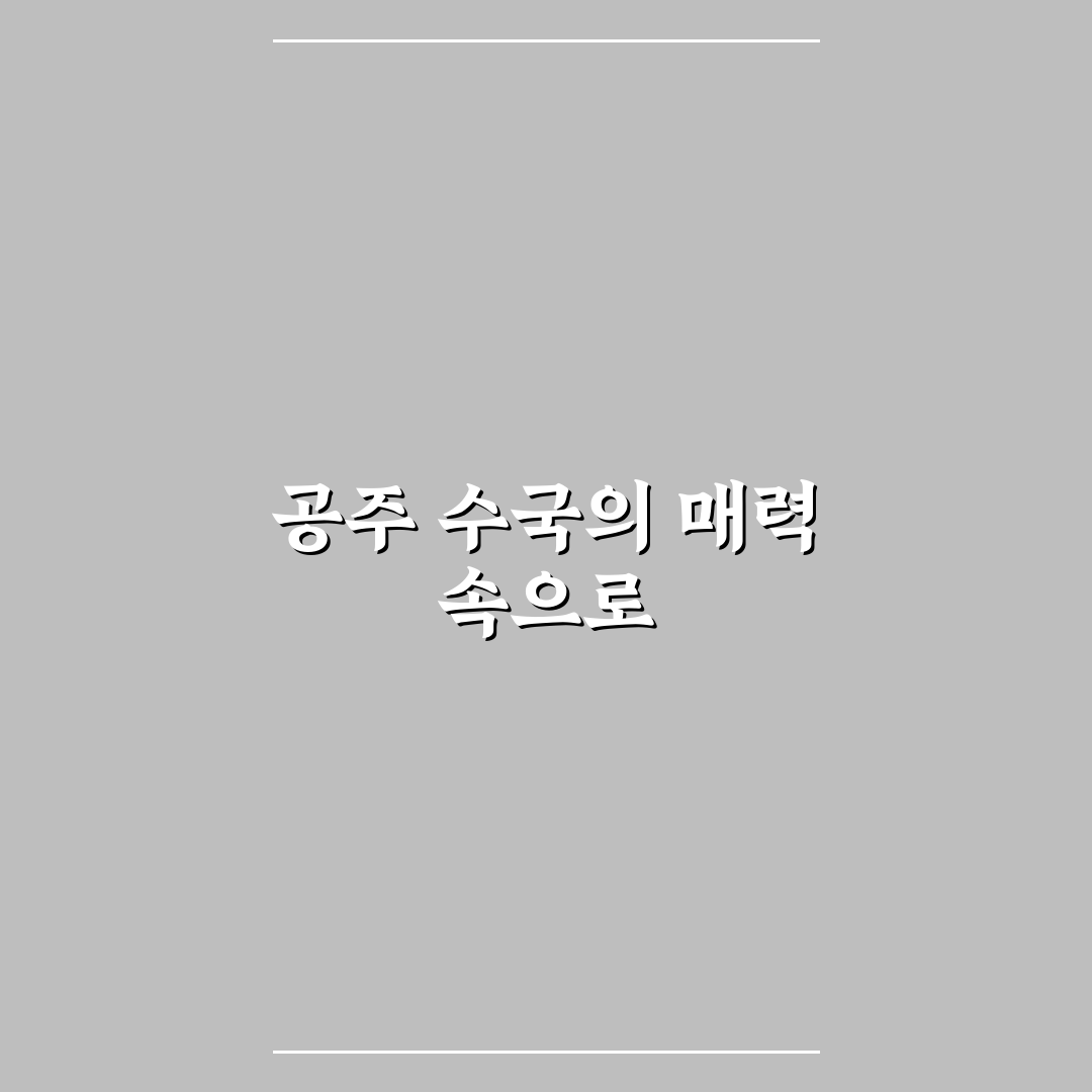 공주 수국축제 5가지 체크포인트별 비교와 판단 가이드
