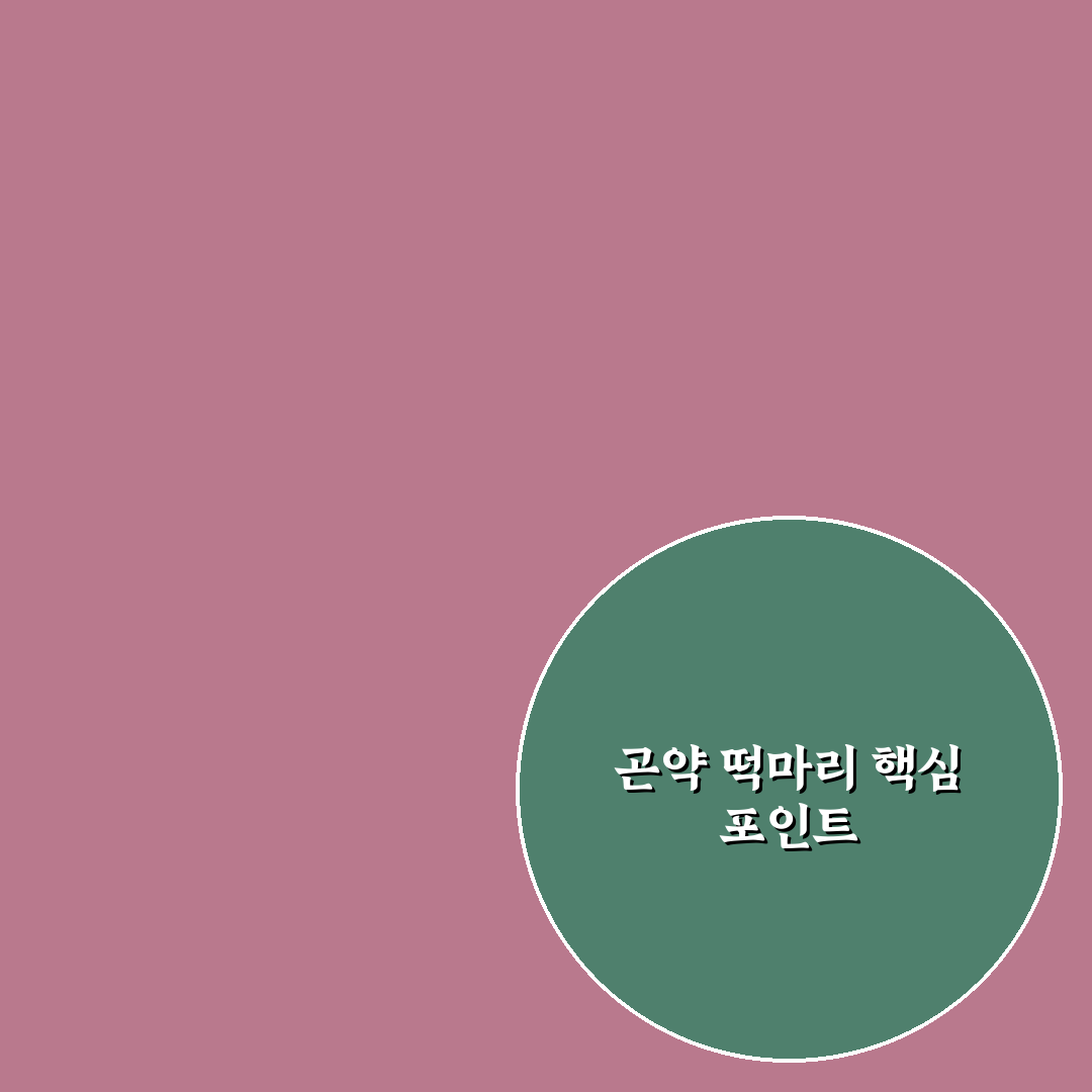 곤약 떡마리 선택 가이드와 품질 비교 총정리