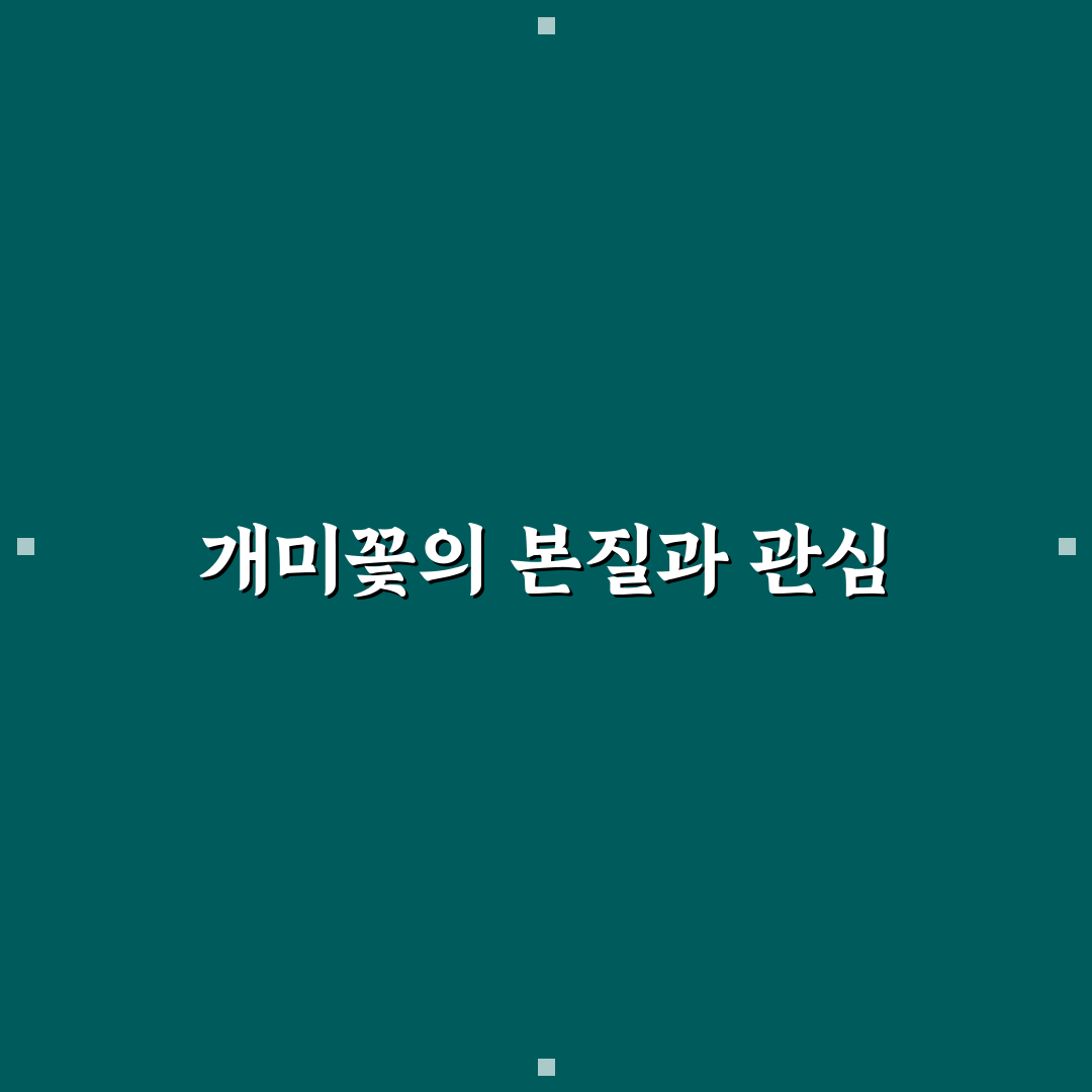 개미꽃 선택 가이드와 성장 환경 비교 분석