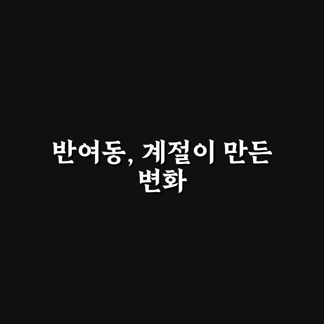 반여동 춘하추동 아파트 5가지 기준 비교 분석 가이드