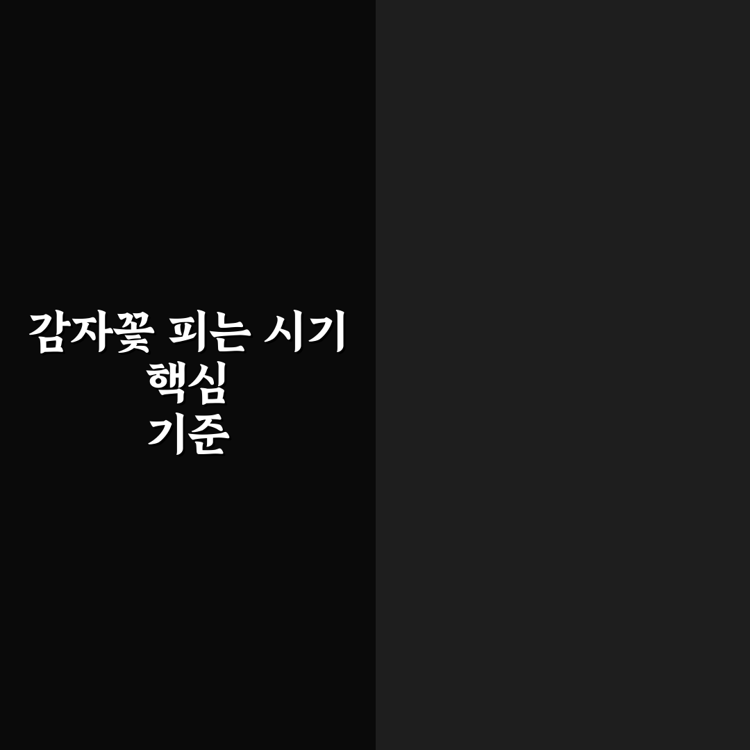 감자꽃 피는 시기 비교와 주요 체크포인트 총정리