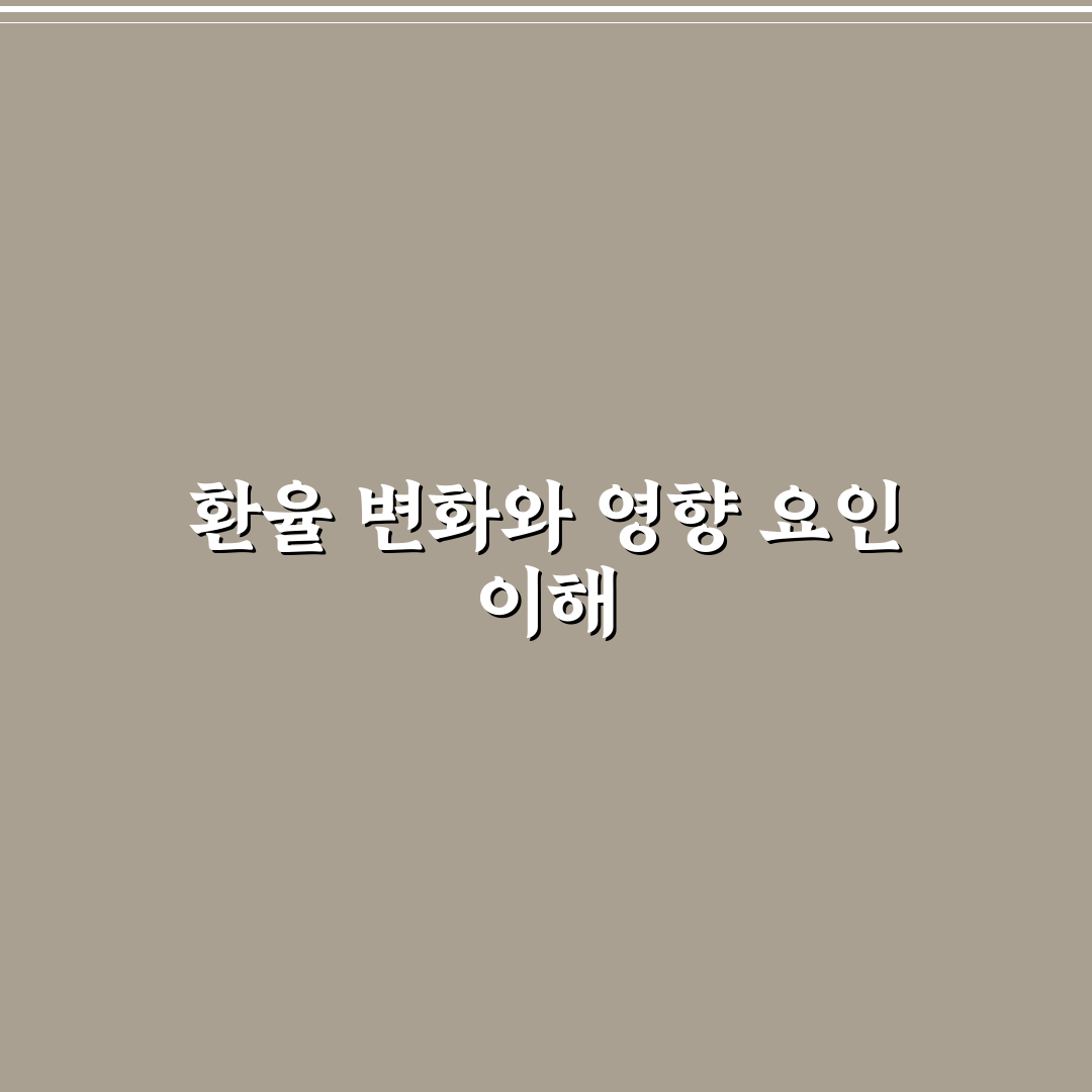 환율계산기 위안 사용법과 환율 변동 분석 가이드