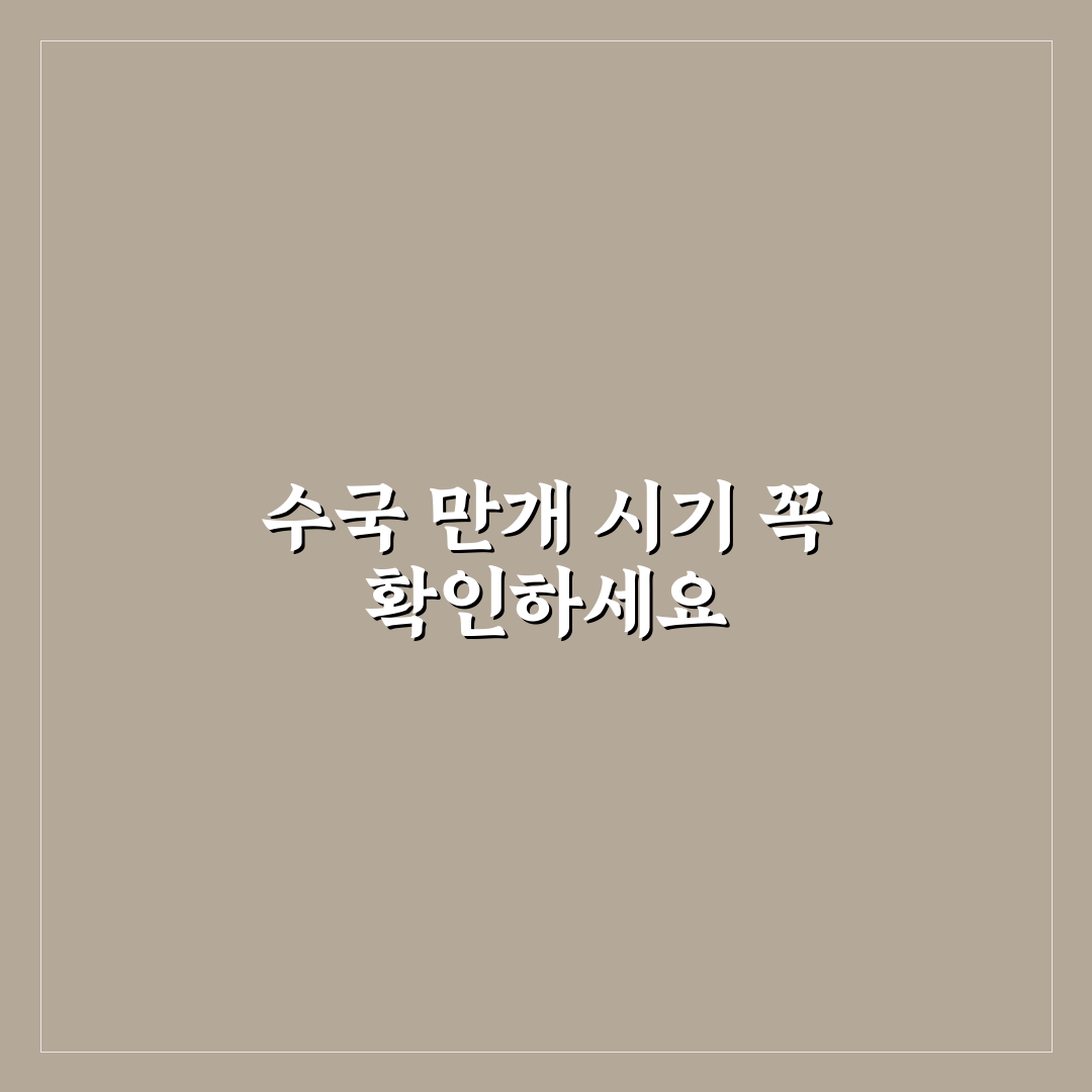 태종대 수국축제 기간별 방문 시기와 준비 사항 총정리