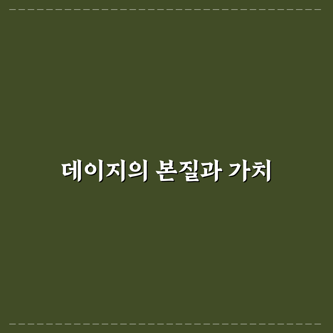 데이지꽃 한국말 명칭과 활용 비교 분석 가이드