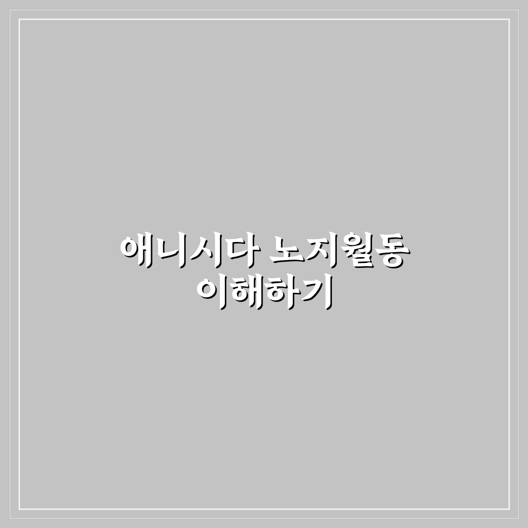 애니시다 노지월동 비교와 분석 가이드 5가지 기준