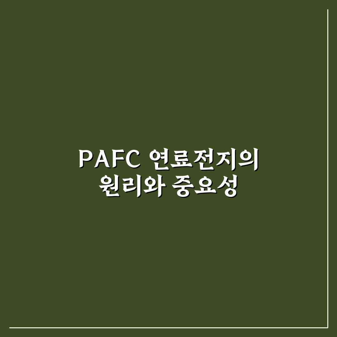PAFC 연료전지 구조와 원리 분석 및 주요 특징 총정리