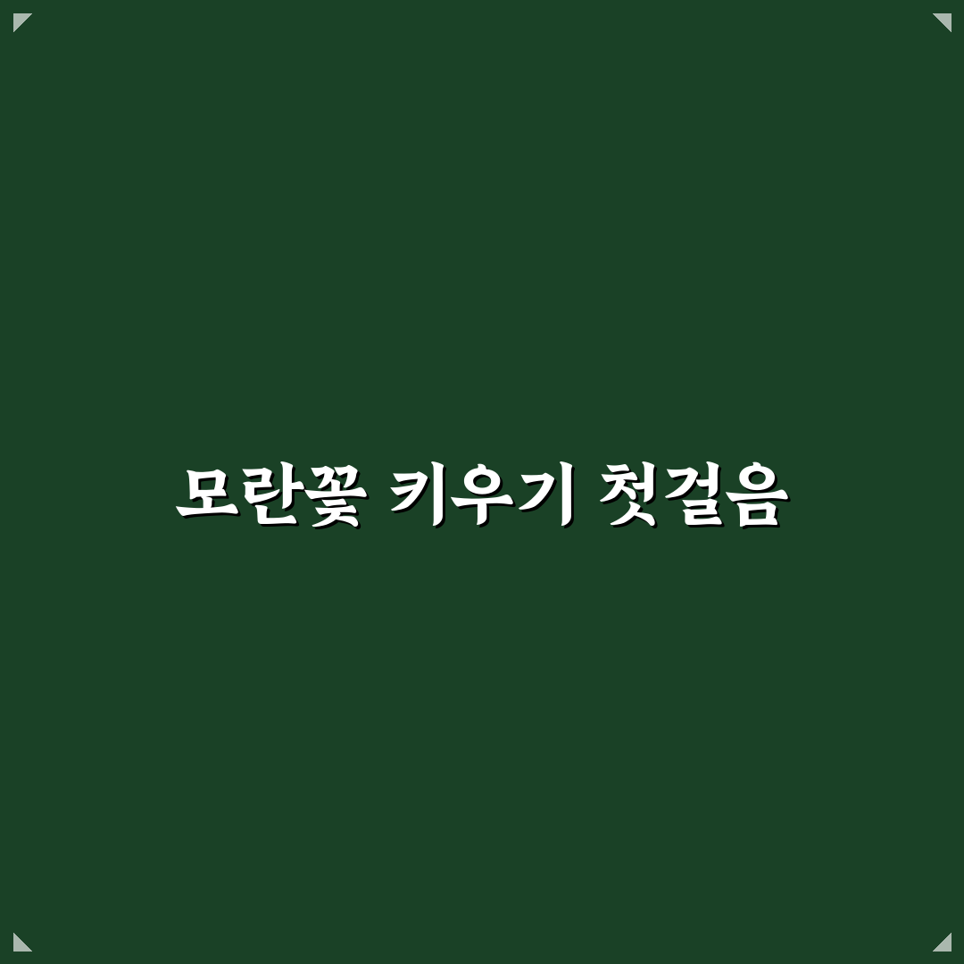 모란꽃 키우기 핵심 가이드와 관리 체크포인트 총정리