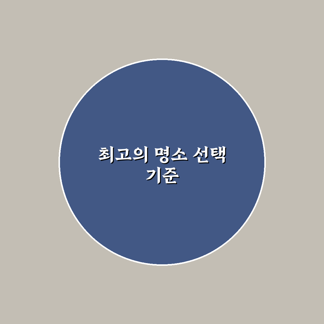 경남 이팝나무명소 5가지 비교와 방문 기준 총정리