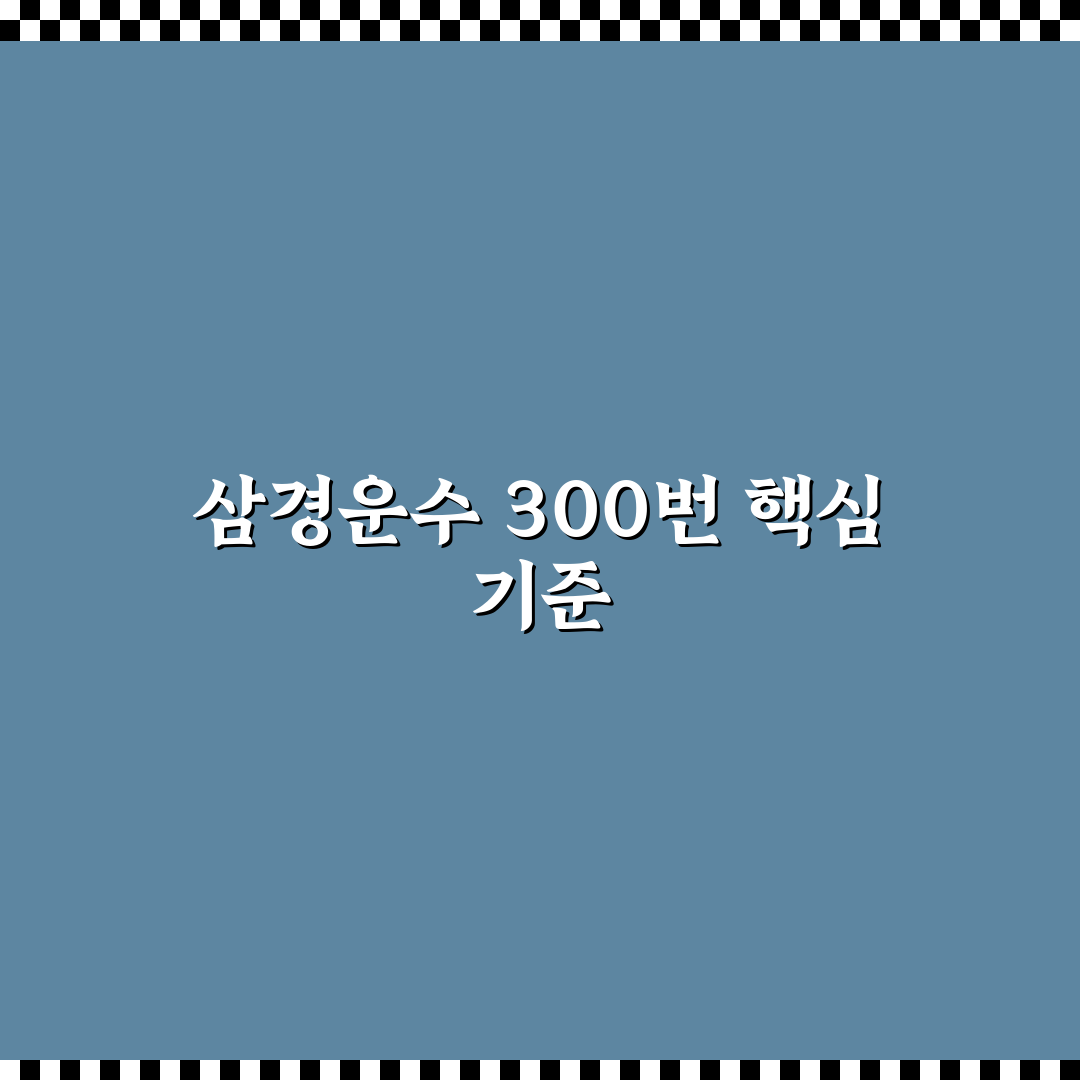 삼경운수 300번 노선 운행 현황과 서비스 비교 분석 가이드