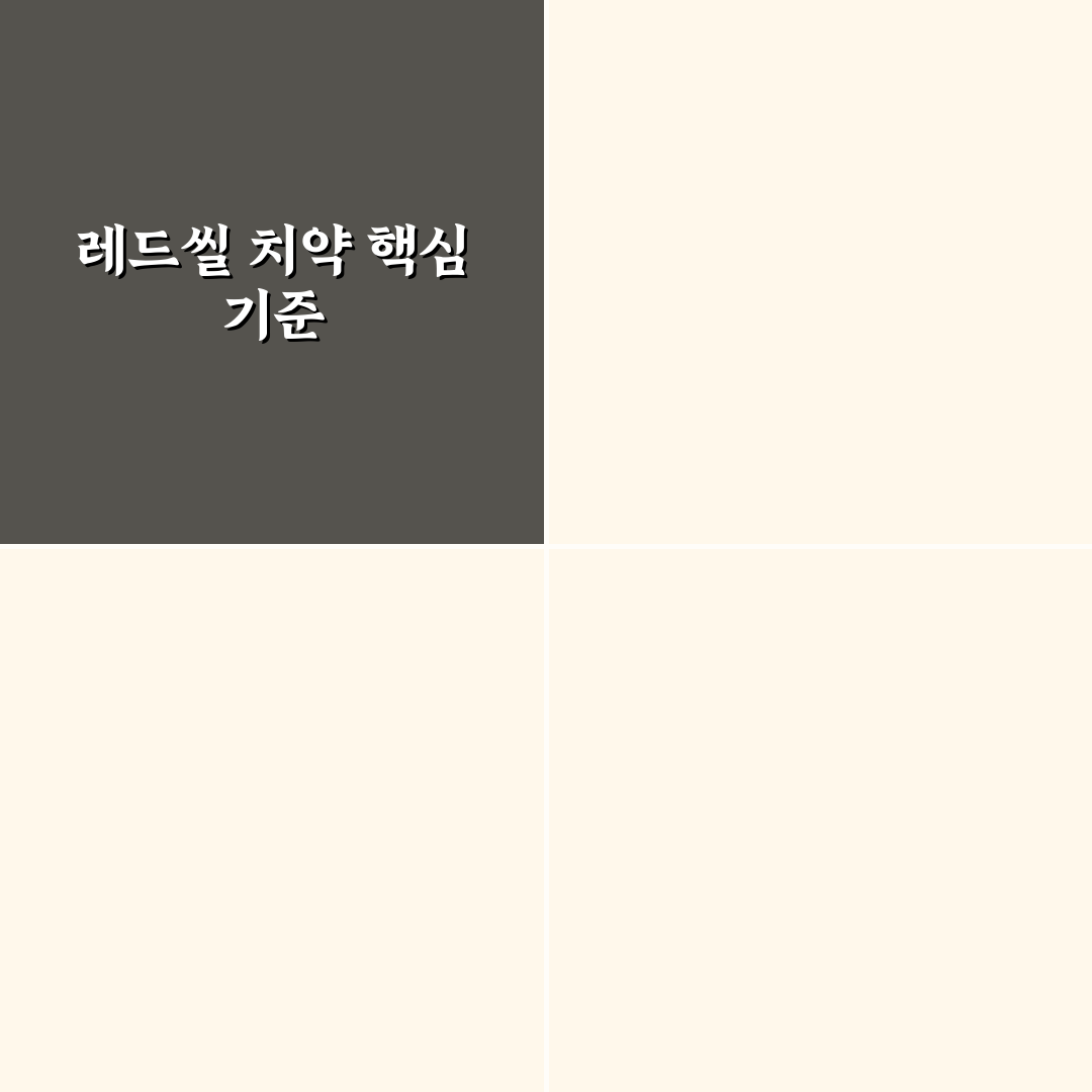 레드씰 프로폴리스 치약 효과와 성분 비교 분석 가이드