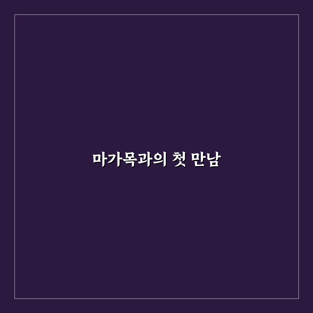 마가목키우기 후기, 직접 해보니 손쉬운 관리법