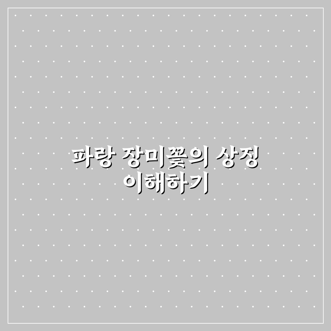 파랑 장미꽃 꽃말 5가지 의미와 상황별 해석 가이드