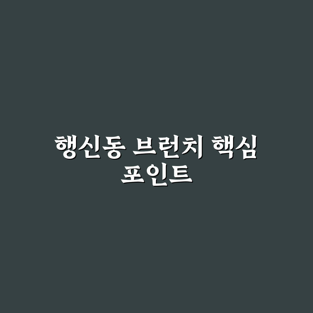 행신동 브런치 카페 5가지 선택 기준과 비교 분석